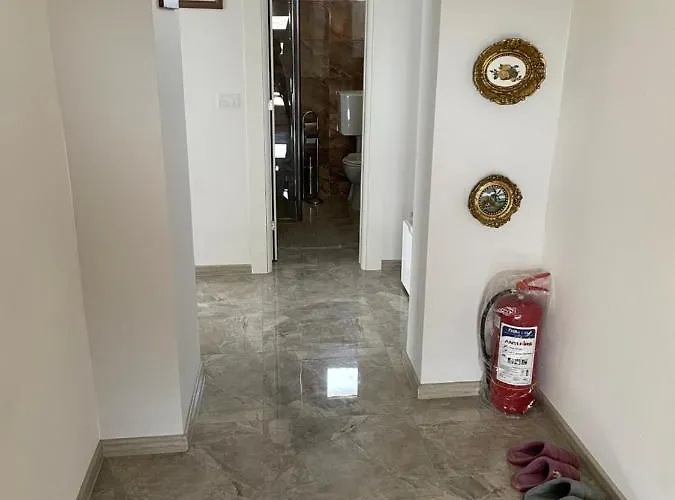 아파트 Lux Nina 브르드니크